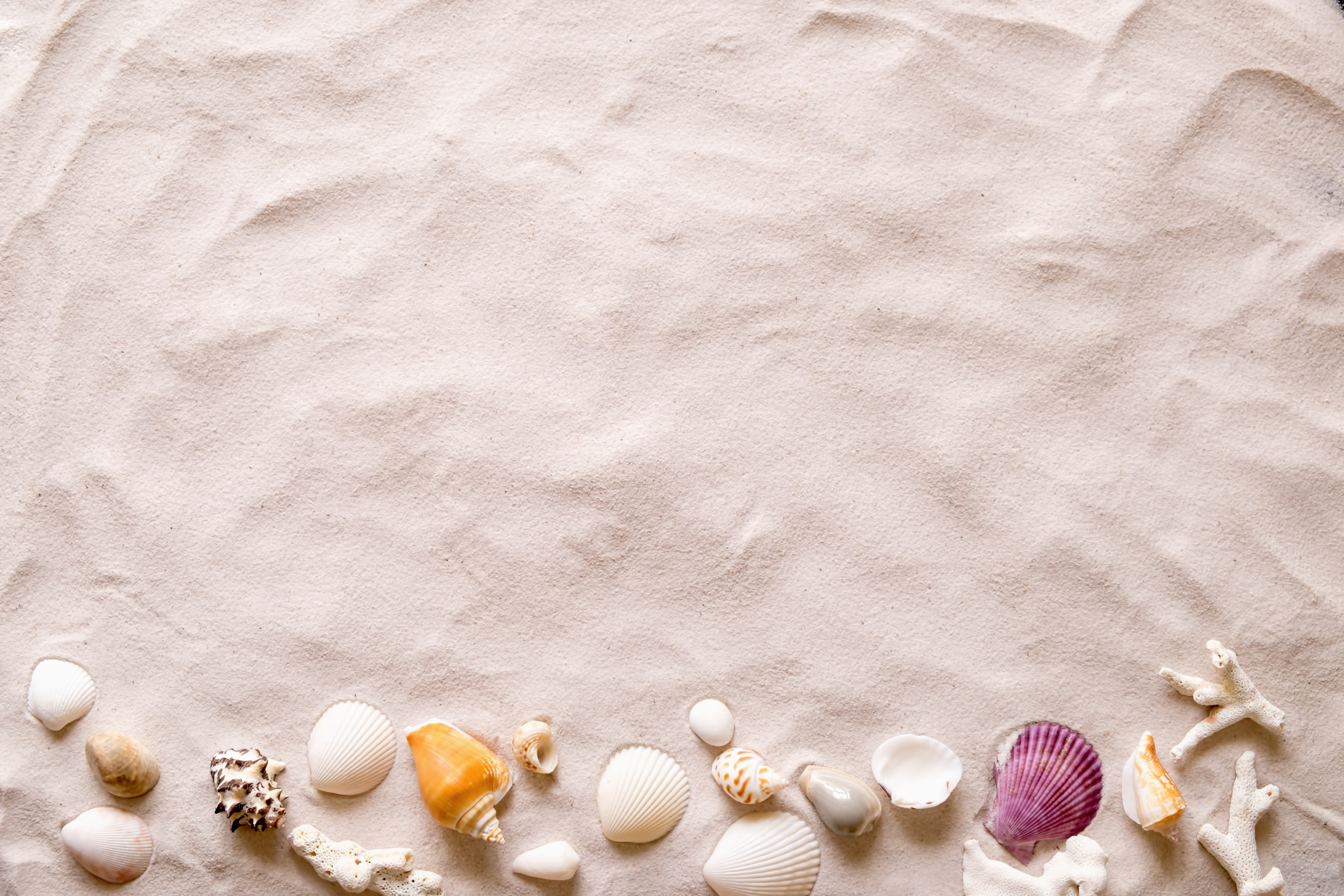 Beach Sand with Seashells